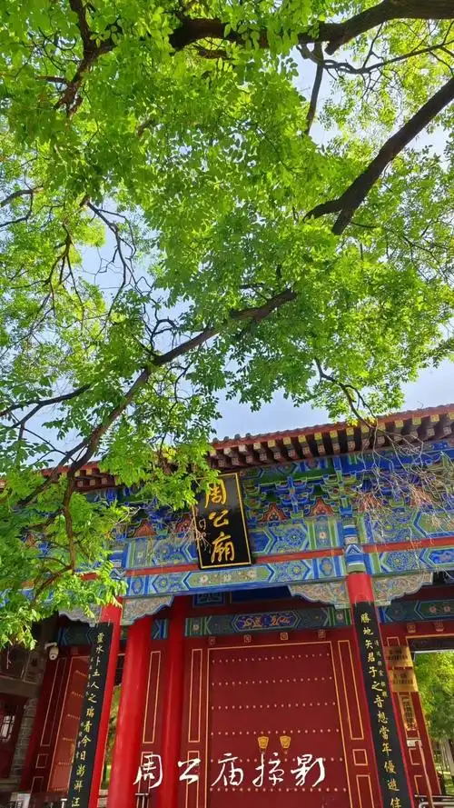 梦见自己拔牙出血 - 梦境插图